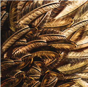 IL SUCCESSO É UN LAVORO INTERIORE – Lettere per le clienti